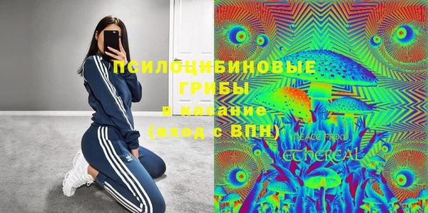 гашик Балабаново