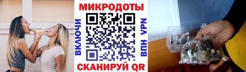 Галлюциногенные грибы мухоморы Красный Кут
